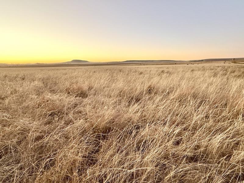 0 Bedroom Property for Sale in Warden Free State